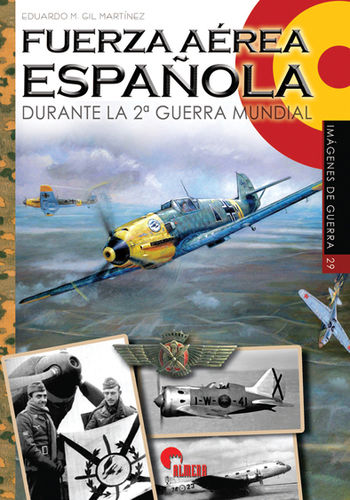 IG 29 Fuerza aérea española